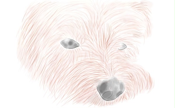 犬