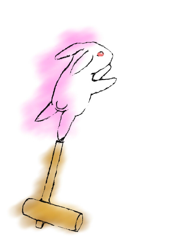 ウサギちゃん