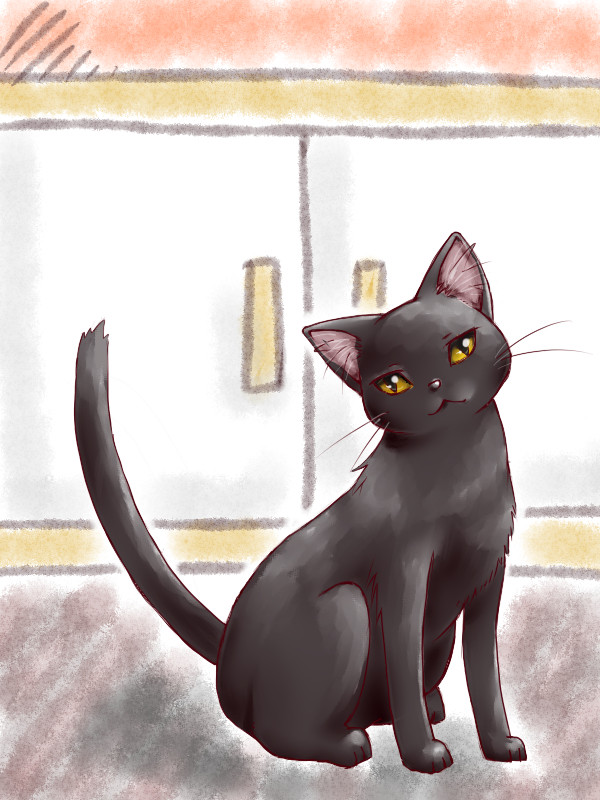 黒猫