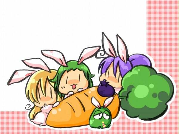 いんたね社うさぎ