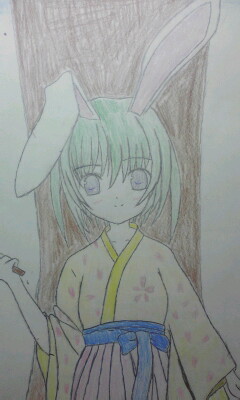 うさみみ