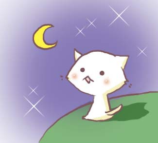 月とねこ