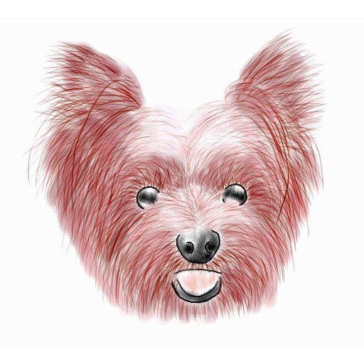 犬２