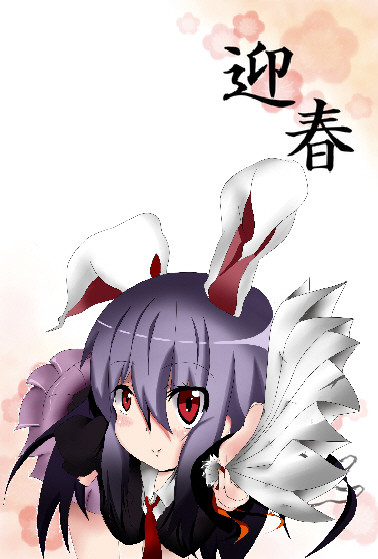 あけましておめでとう御座います!
