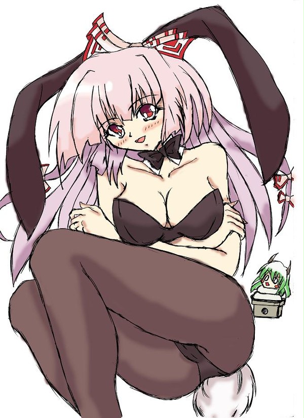 あけおめ！もこたんバニー