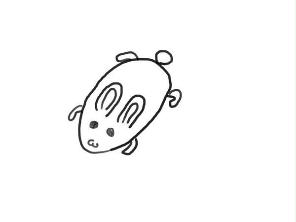 ウサギ