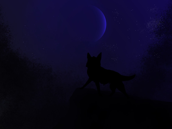 夜月