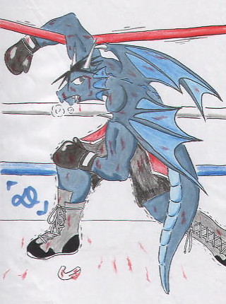 ドラゴンボクサー