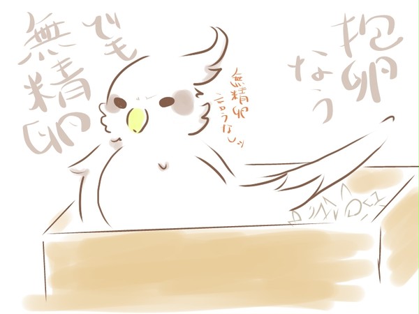 抱卵なう