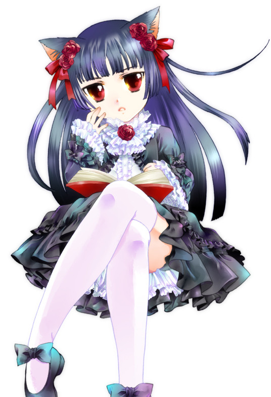 黒猫さん