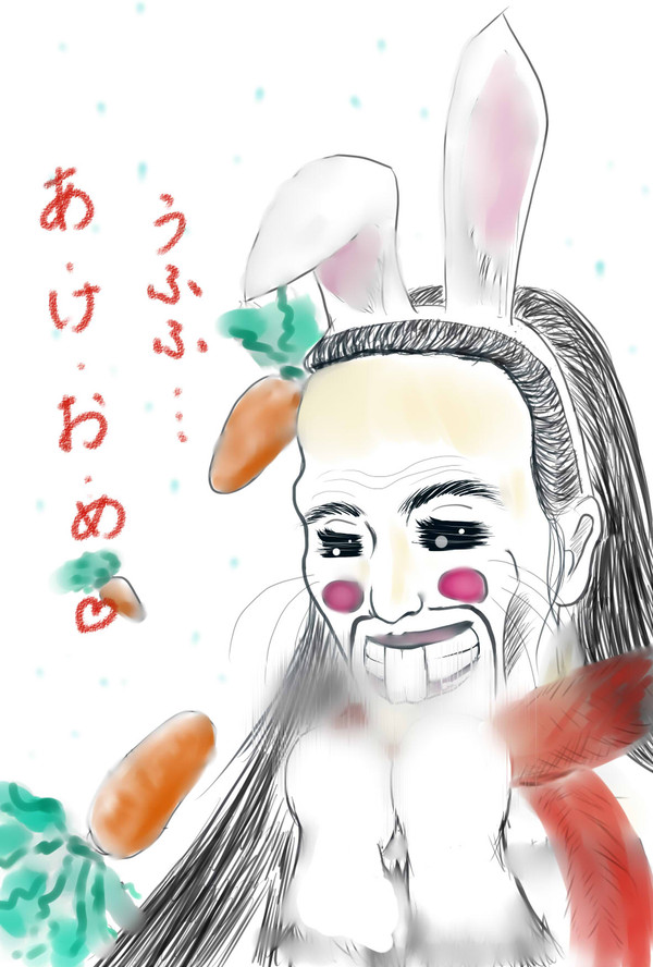 あけました　おめでとうございます。
