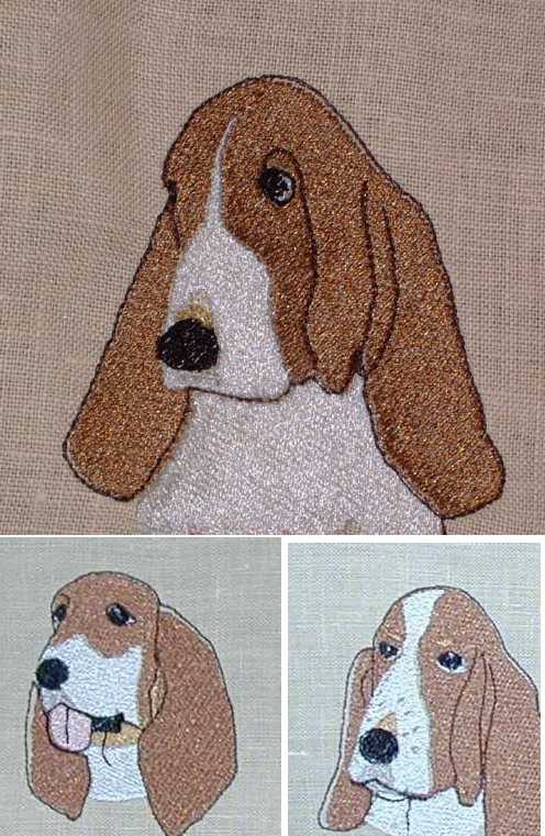Portrait of Basset hound