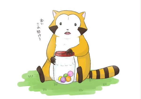 あらいぐまの子