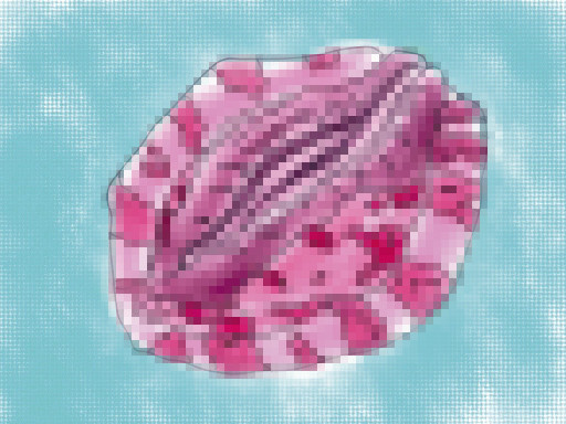 あわびを色調補正してモザイク