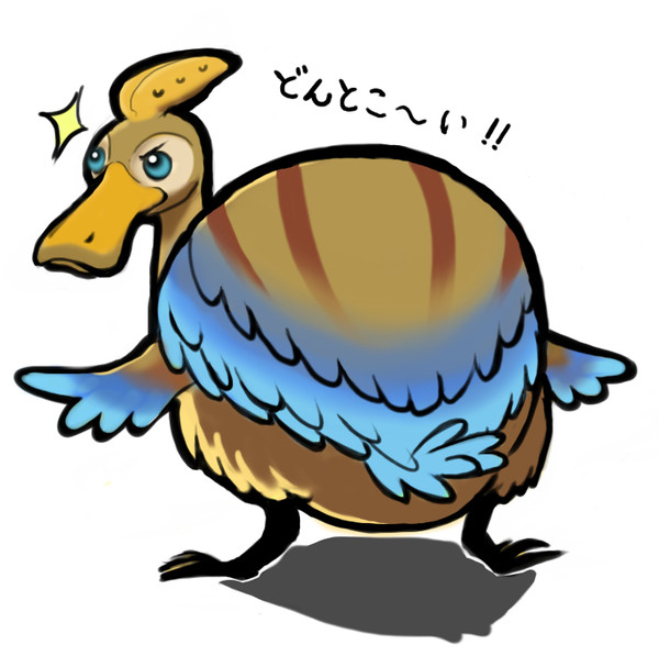 どんとこい！