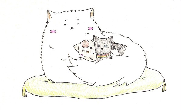 猫ではありません