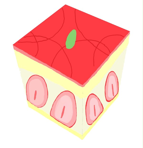 いちごのケーキ２