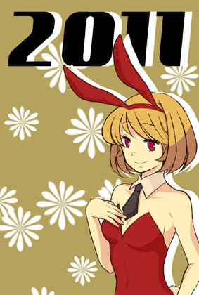 ２０１１