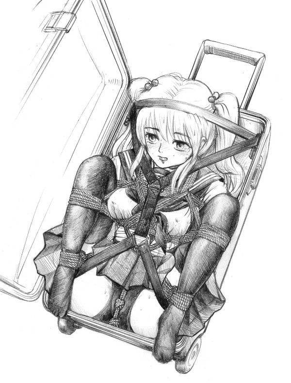 ハードトラベルケース