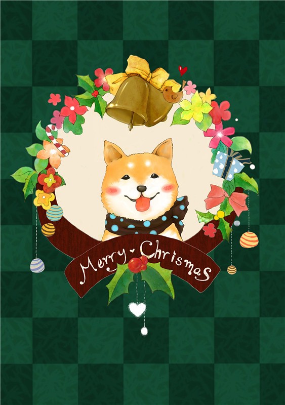 クリスマス☆柴犬