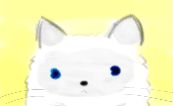 ねこのこたろう