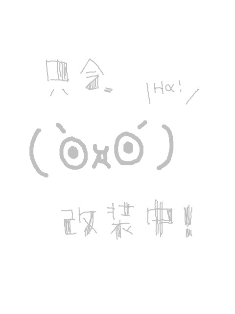 テスト投稿