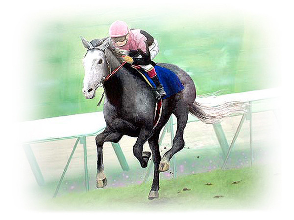 競走馬