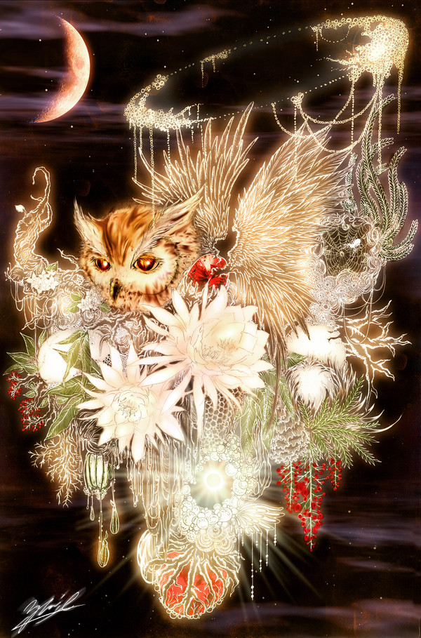 NIGHT SYSTEM
