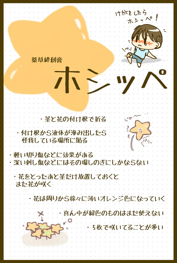 【PFⅤ】ホシッペ【アイテム】