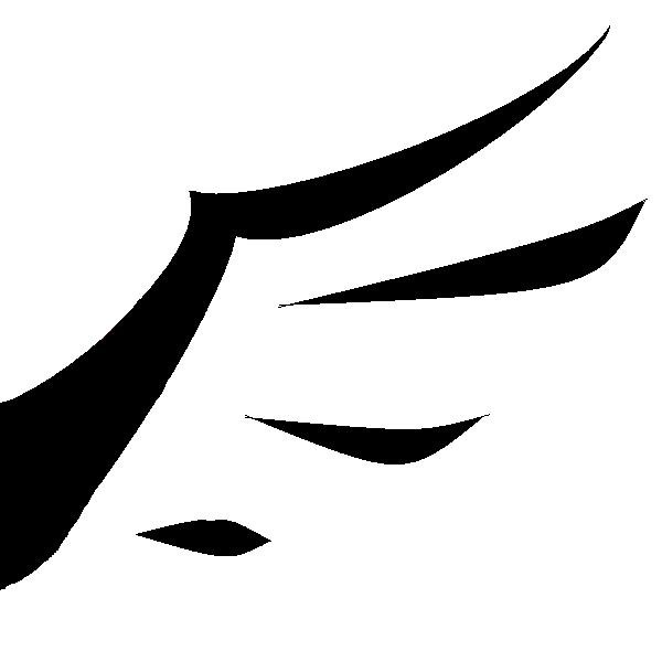 羽