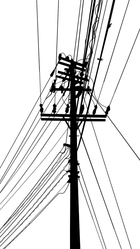 古い電柱