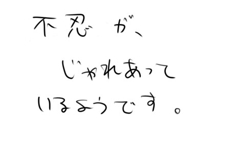 ふどたかがじゃれあっているようです