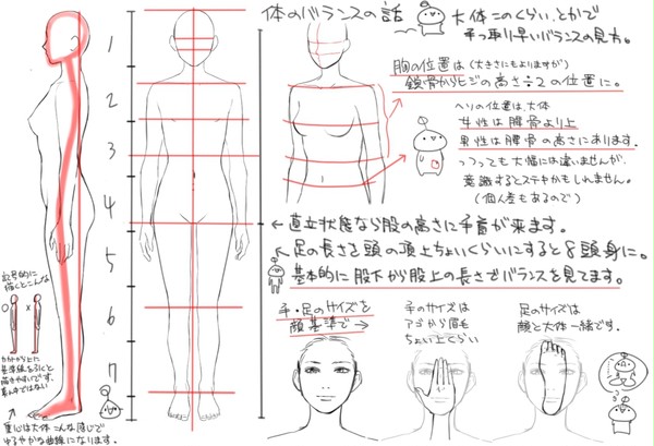 個人的な体・横顔の描き方「゚д゚」バランスの取り方