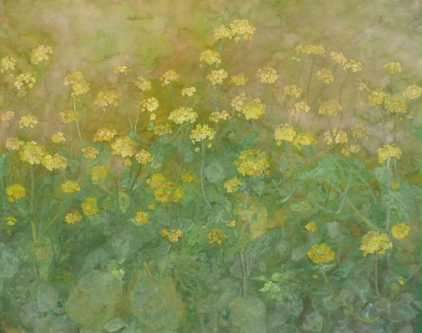 菜の花