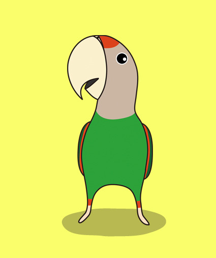 ケープパロット