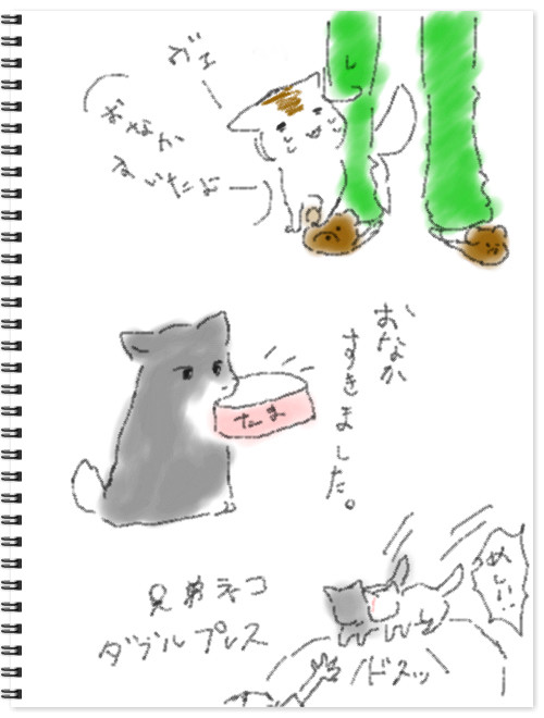 ご飯のねだり方