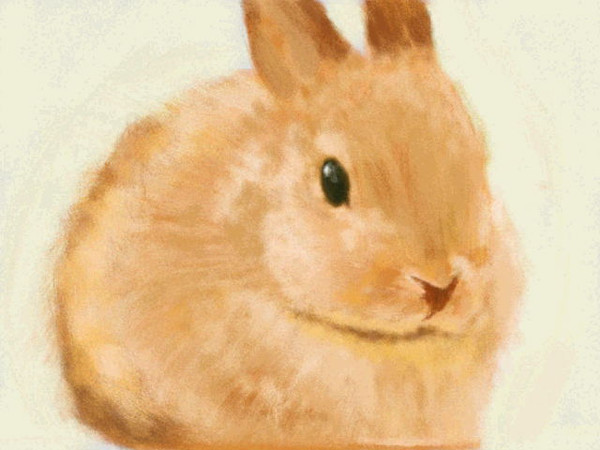 年賀状用うさぎ