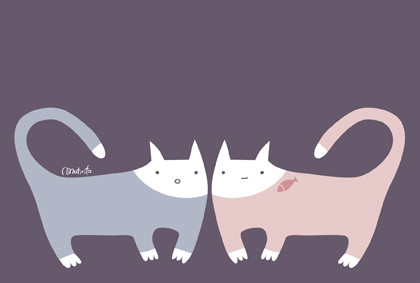 白いふたごねこ