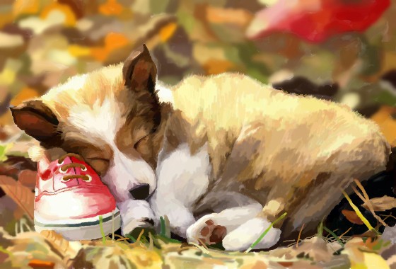 秋の犬