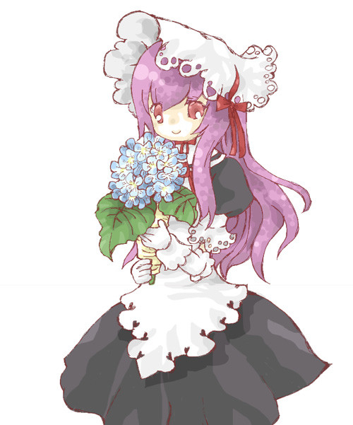 ポム子さんと紫陽花
