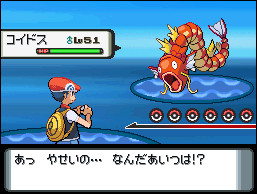 あっ！　野生のギャラ……誰だてめぇ！？