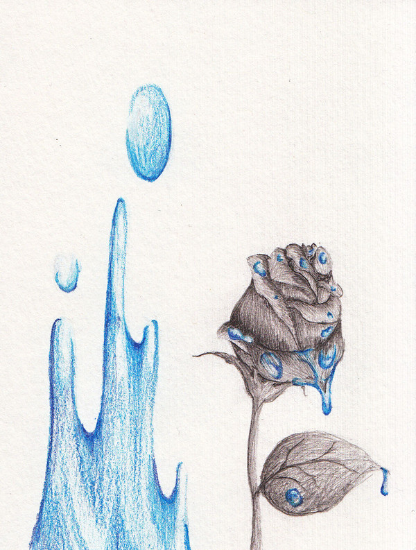 青い薔薇