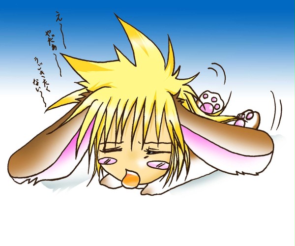 うさぎスタン