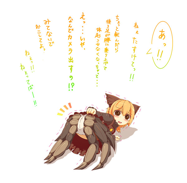 yamameちゃんの裏側