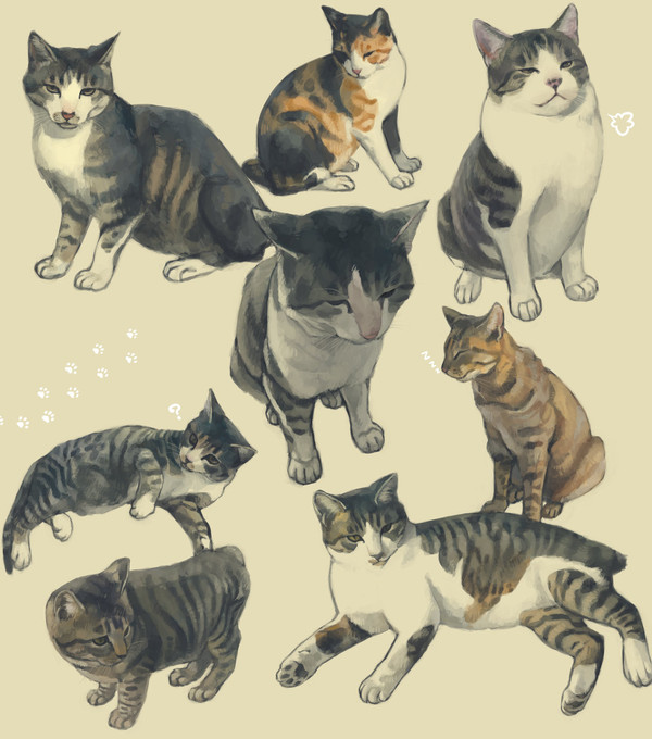 \(猫の日)/