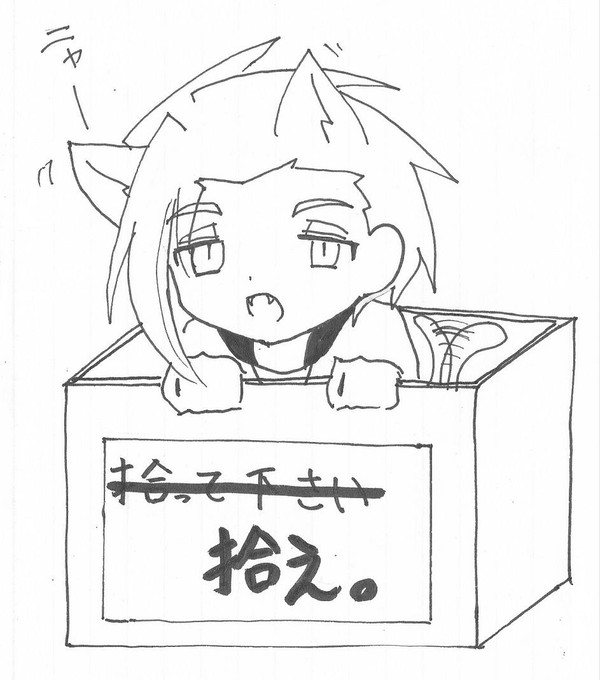 猫の日だった
