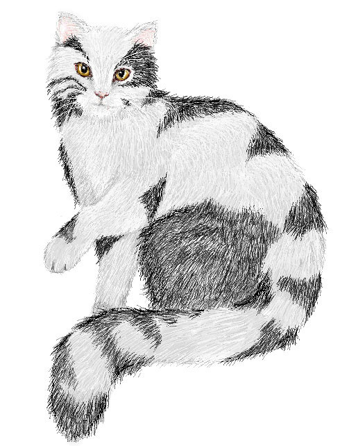 劇団四季 CATS 　ランパスキャット 　　（猫バージョン）