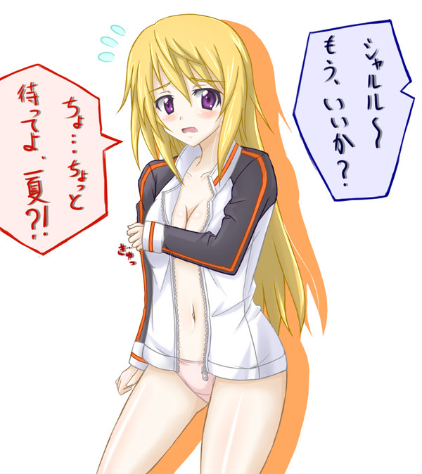 とある代表候補生の日常