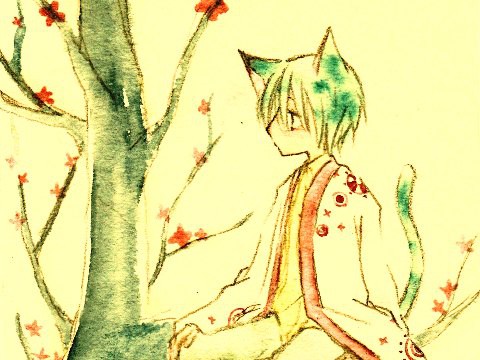 猫少年。