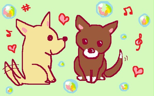 チワワズとシャボン玉